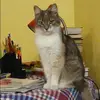 Отзыв от Елена Алешина